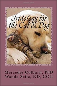 catanddog catanddog